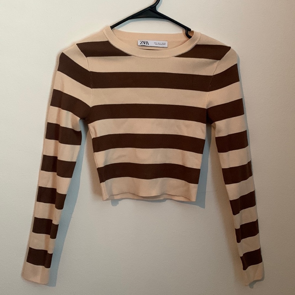 Zara Long Sleeve Crop Top